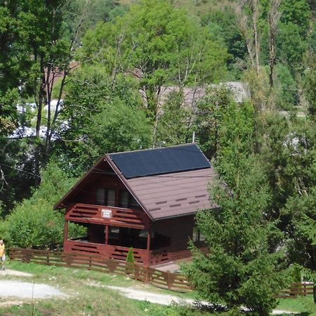 Deea Cascada Villa Vidra  Buitenkant foto