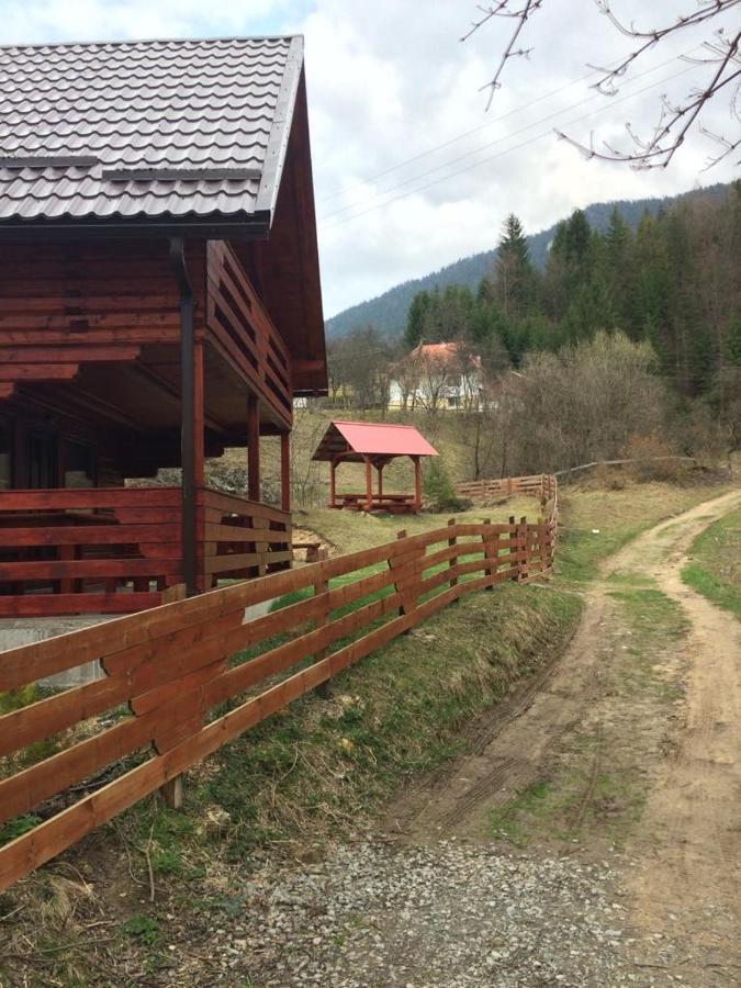 Deea Cascada Villa Vidra  Buitenkant foto