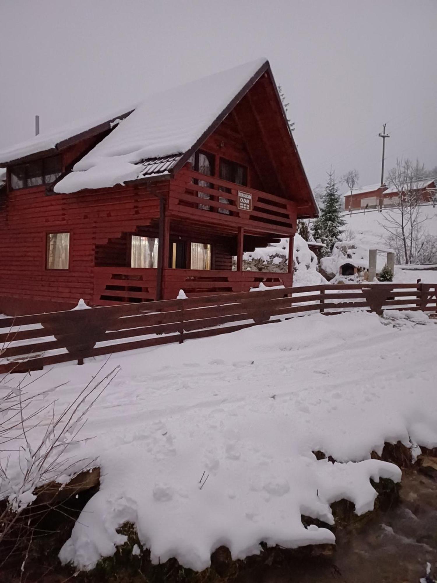 Deea Cascada Villa Vidra  Buitenkant foto